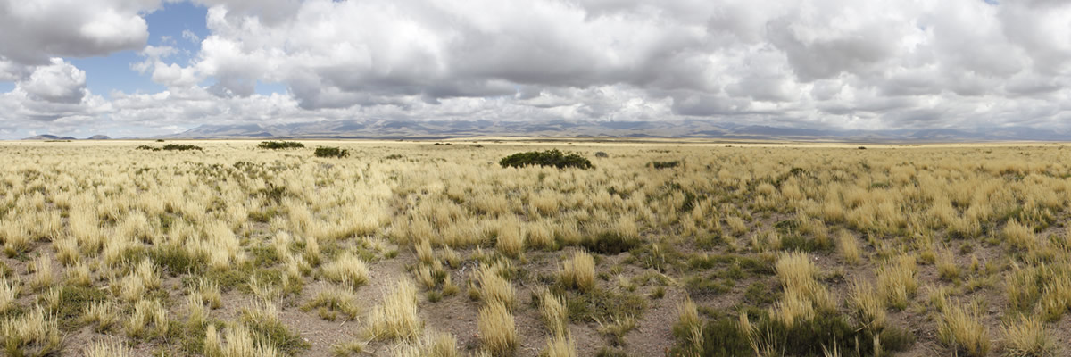 Mendoza - Ruta 40